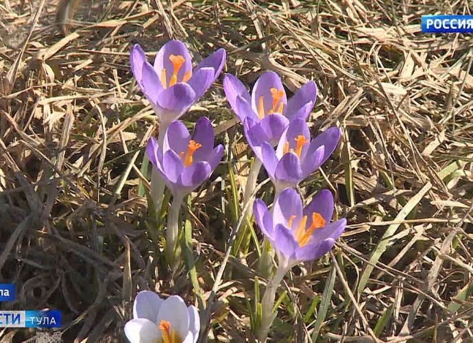 Эфир от 23.03.2026 (21:10) Россия 1