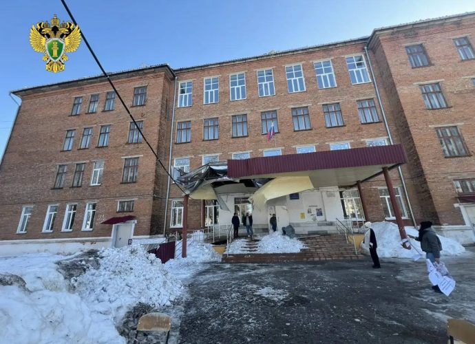 В Новомосковске школа перешла на дистант после обрушения снега на крыльцо