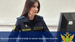 Житель Суворовского района заплатил штраф за украденные пельмени и алкоголь