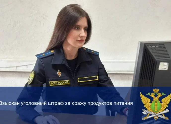 Житель Суворовского района заплатил штраф за украденные пельмени и алкоголь