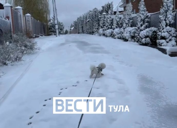 Руководитель прогностического центра «Метео» Александр Шувалов рассказал тульским«Вестям» о погоде на предстоящей неделе.
