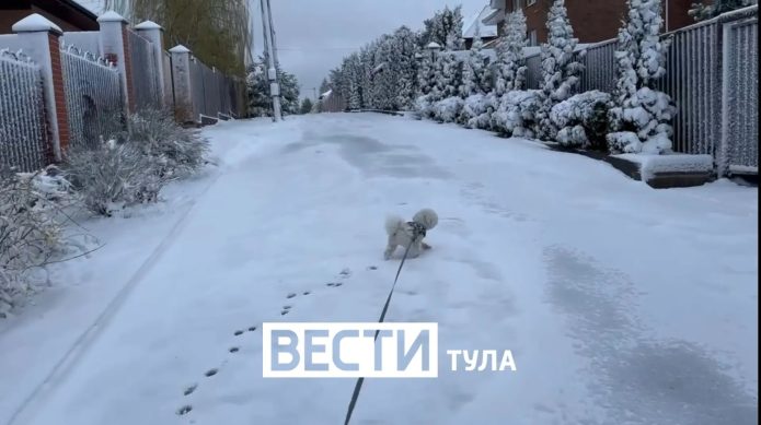 Руководитель прогностического центра «Метео» Александр Шувалов рассказал тульским«Вестям» о погоде на предстоящей неделе.