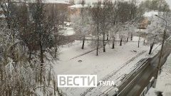 По оперативным данным, 27 апреля из-за непогоды в Тульской области  зафиксировано падение 65 деревьев в 14 муниципалитетах.