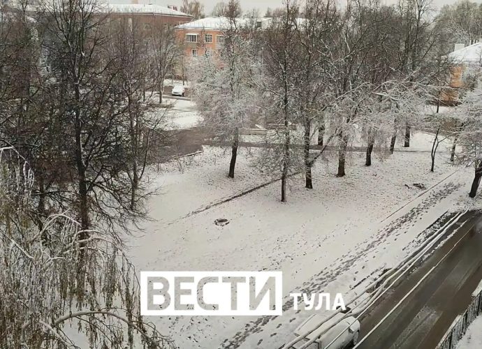 По оперативным данным, 27 апреля из-за непогоды в Тульской области  зафиксировано падение 65 деревьев в 14 муниципалитетах.