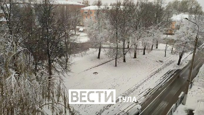 По оперативным данным, 27 апреля из-за непогоды в Тульской области  зафиксировано падение 65 деревьев в 14 муниципалитетах.