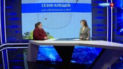 Как защитить себя от клещей и что делать при присасывании: интервью с экспертом Роспотребнадзора Анастасией Аксёновой