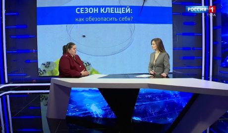 Как защитить себя от клещей и что делать при присасывании: интервью с экспертом Роспотребнадзора Анастасией Аксёновой