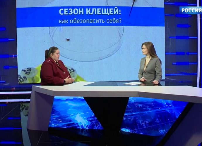 Как защитить себя от клещей и что делать при присасывании: интервью с экспертом Роспотребнадзора Анастасией Аксёновой