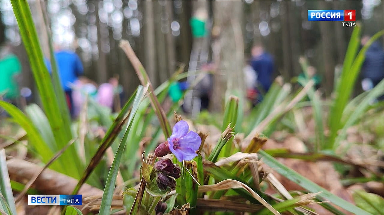 Метеоролог Александр Шувалов: Похолодание затянется едва ли не до начала мая