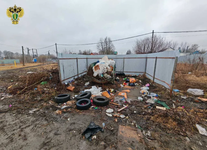 В Воловском районе жители пожаловались на свалку у контейнерной площадки - прокуратура заставила администрацию навести порядок