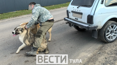 Житель Уваровки получил рваные раны, спасая своего пса от алабаев: ВИДЕО
