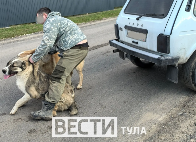Житель Уваровки получил рваные раны, спасая своего пса от алабаев: ВИДЕО