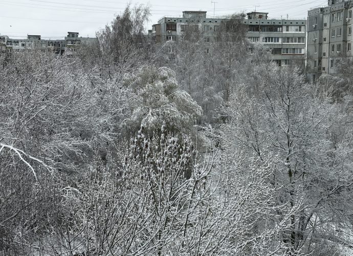 Из-за непогоды в Тульской области упали 65 деревьев: Дмитрий Миляев поручил контролировать устранение последствий циклона