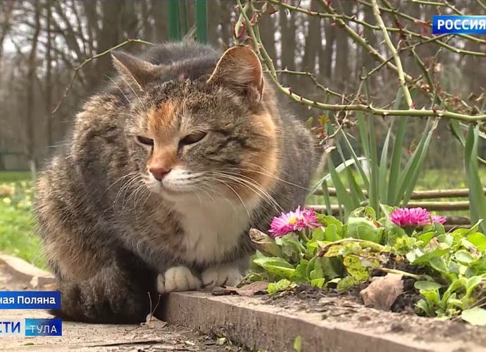 В Ясной Поляне животные, растения и сотрудники ждут тепла