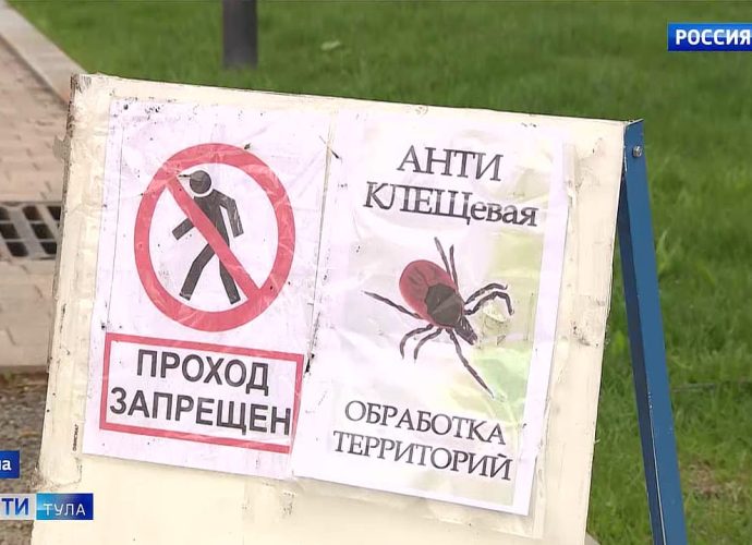 С приходом тёплой погоды в регионе активизировались клещи. Специалисты тульского Роспотребнадзора предупреждают: опасные членистоногие могут поджидать не только в лесу, но и в городских парках, скверах и даже на приусадебных участках.