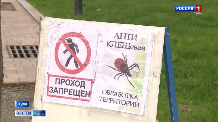 Клещи: как обезопасить себя и свою собаку