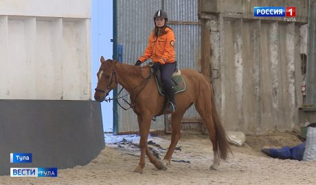 Добровольцы поискового отряда «ЛизаАлерт» в Тульской области делают ход конём