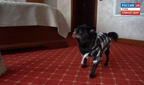 Эфир от 14.04.2026 (17:30) Россия 24