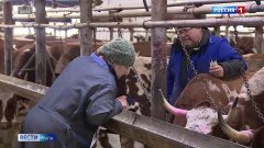 тульские ветеринары отметили профессиональный праздник