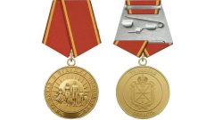 Стало известно, когда и кого впервые наградят медалью «За вклад в будущие поколения» в Туле