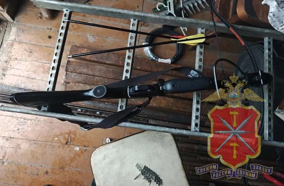 В отдел полиции «Ленинский» обратилась 60-летняя жительница Зареченского округа Тулы. Женщина сообщила, что из ее дачного дома в садовом товариществе поселка Барсуки пропали спортивный арбалет и два фонаря.