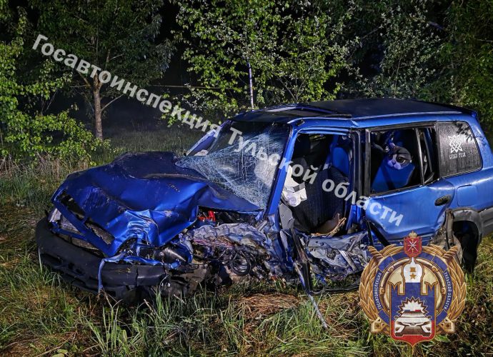 Поздним вечером 12 мая на трассе Чекалин — Суворов — Ханино в Тульской области произошло ДТП.