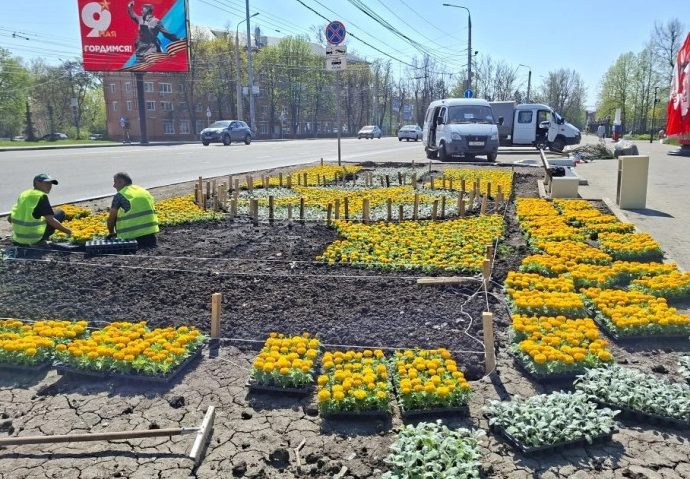 По поручению главы администрации Ильи Беспалова областную столицу к 8 мая украсят цветочными композициями.