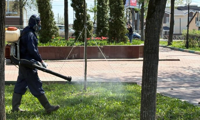 В Туле приступили к весенней обработке общественных пространств от клещей. 