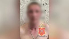 Сотрудники МО МВД России «Кимовский» по горячим следам раскрыли разбойное нападение на пожилую женщину.