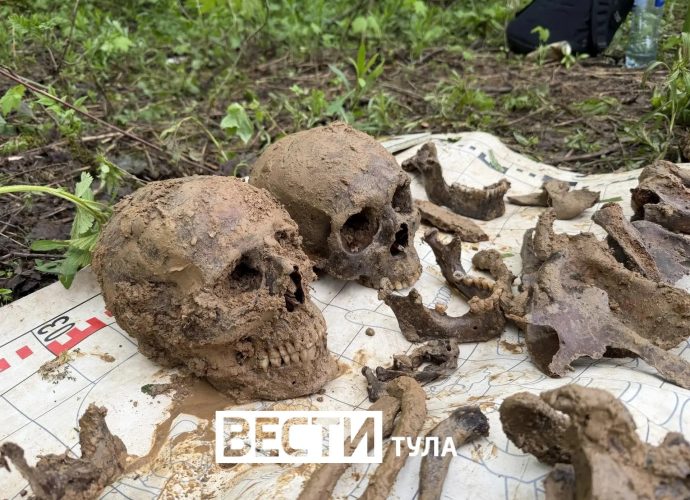На Косой Горе найдены останки мирного жителя и красноармейцев