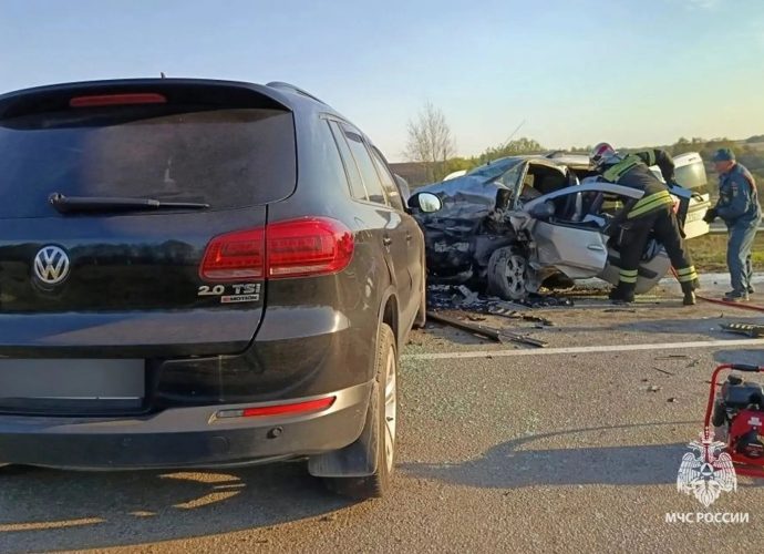 5 мая смертельное ДТП произошло на 5-м километре автодороги Болохово — Шварц в Киреевском районе.