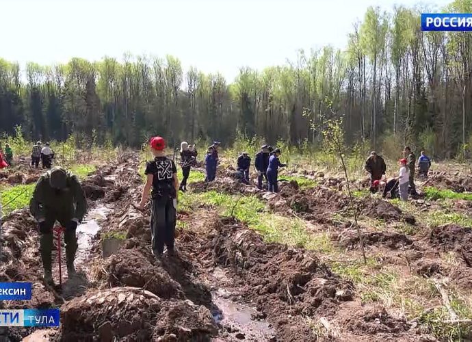 Акция «Сад Памяти» прошла в Тульских засеках