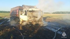 За минувшие сутки, 21 июня, пожарно-спасательные подразделения ликвидировали пять техногенных пожаров. 