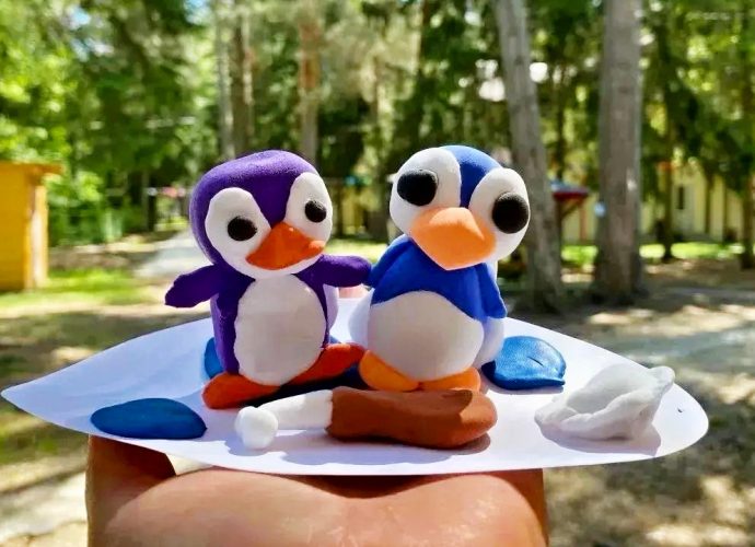 Школьники из Брянской области отдохнут на берегу Оки