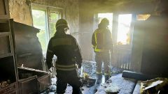 В Новомосковске на пожаре погибли 2 человека