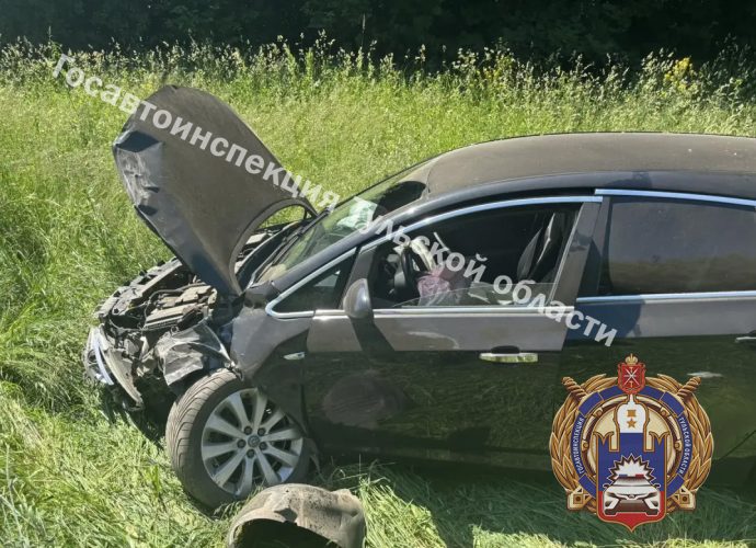 Ребёнок пострадал в ДТП на М-2 «Крым» в Тульской области