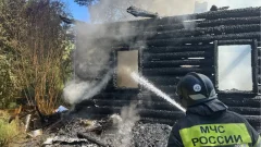 За сутки в Тульской области потушили 5 пожаров