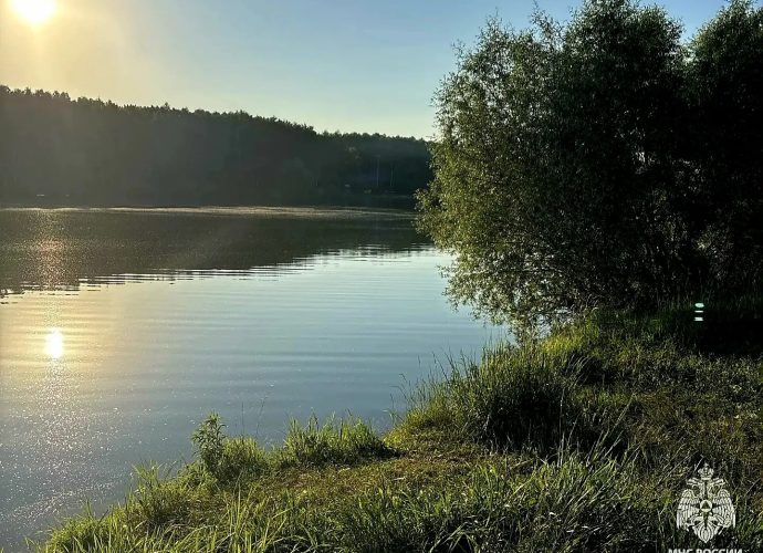 В Ясногорском районе на пруду утонул мужчина