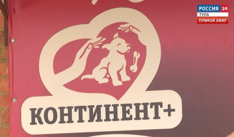 Эфир от 09.06.2026 (17:30) Россия 24 Приют для собак
