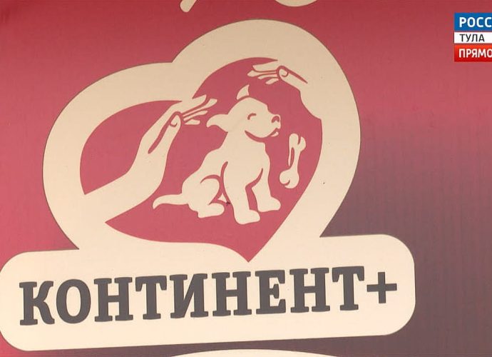 Приют для собак