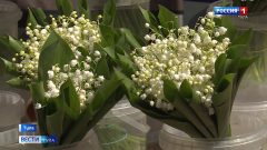 Ландыш: опасная красота