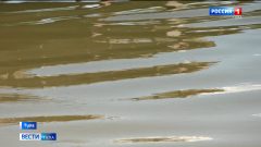 Эфир от 23.06.2026 (21:10) Россия 1