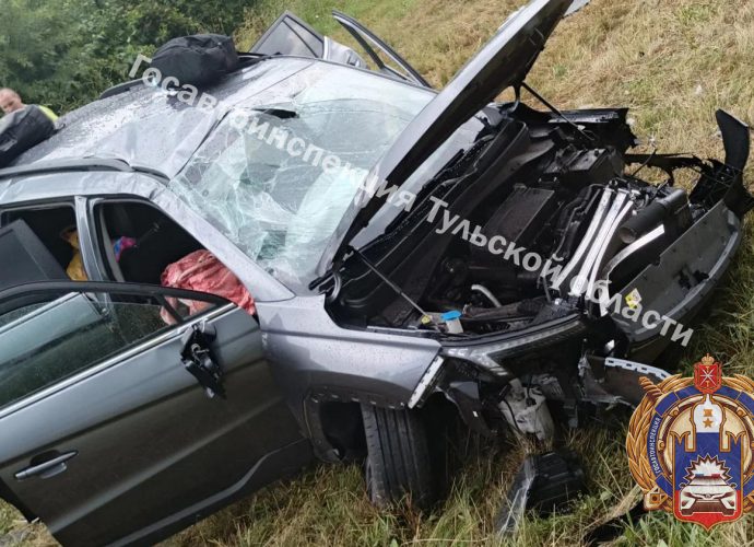 На трассе М-4 «Дон» в Воловском районе автомобиль вылетел в кювет: пострадали три человека