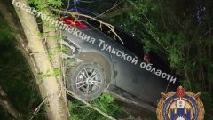 В Арсеньевском районе пьяная женщина за рулем врезалась в дерево
