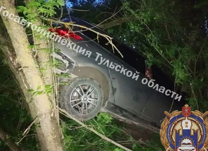 В Арсеньевском районе пьяная женщина за рулем врезалась в дерево