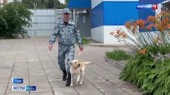 «Нет прибора, который может заменить собачий нюх». Тульский кинолог МВД стал вторым на всероссийском конкурсе «Нет прибора, который может заменить собачий нюх». Тульский кинолог МВД стал вторым на всероссийском конкурсе