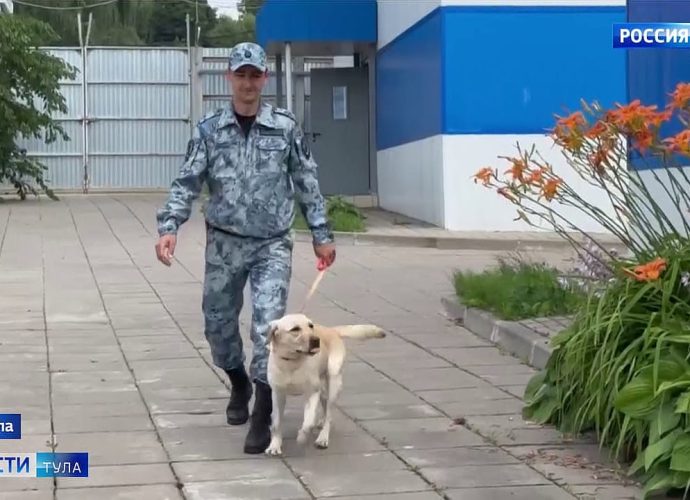 «Нет прибора, который может заменить собачий нюх». Тульский кинолог МВД стал вторым на всероссийском конкурсе