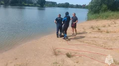В Узловой на Трестовском пруду утонул мужчина
