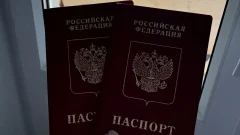 С 2027 года в загранпаспорта родителей перестанут вписывать детей