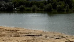 В Узловой следователи выясняют обстоятельства гибели мужчины на воде